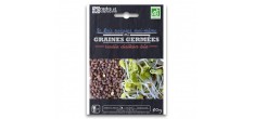 Sachet Graines à Germer Radis Daikon Bio 50 g 