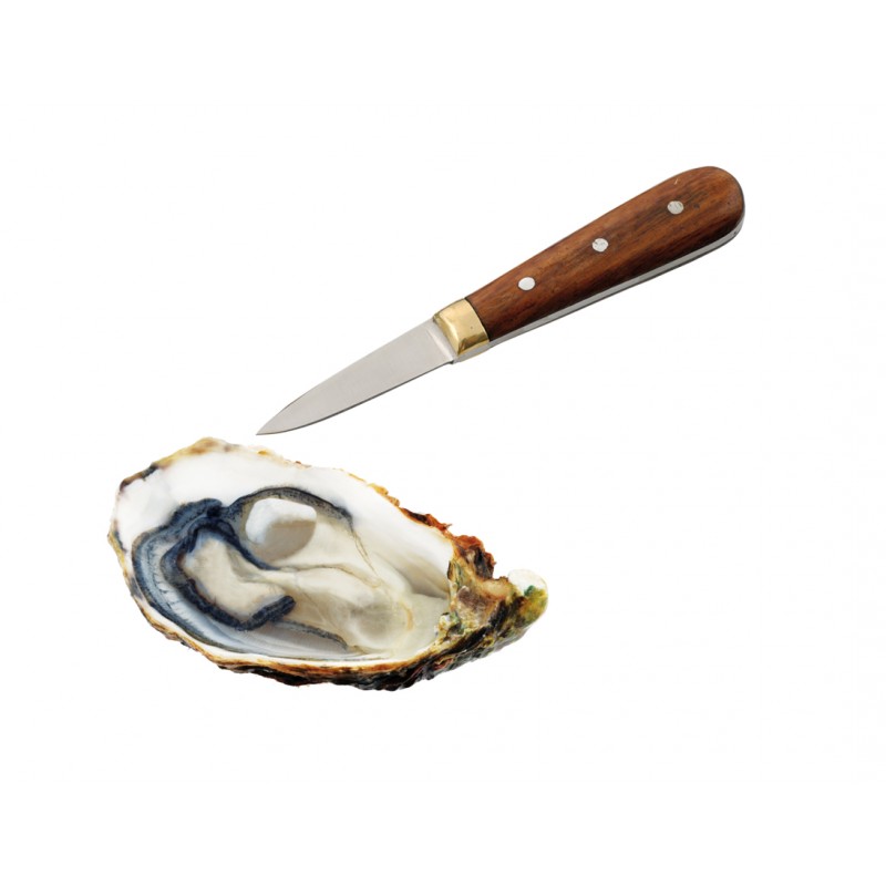 Gant de protection pour ouvrir les huîtres - marque de Buyer