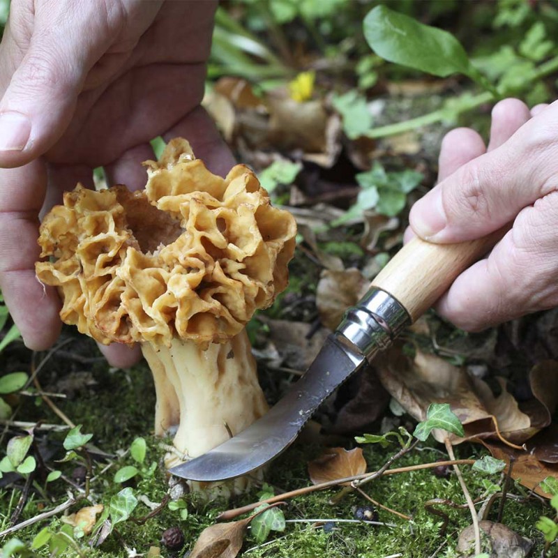Couteau de poche Opinel champignon bois inox