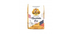 Manitoba Oro Farine Forte "0" pour Pizza et Pâtes levées 1 kg 